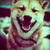 :iconnafwerdna: