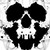 :iconnagashi23: