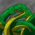 :iconnaginithesnake1234: