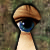 :iconNagusameru: