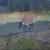 :iconnahuale11-stock: