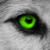 :iconnaikes: