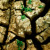 :iconnailpointpayment: