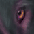 :iconnairaz: