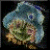 :iconnairuat: