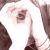 :iconnaiwe: