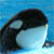 :iconnakailover: