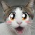 :iconnakakasuya:
