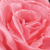 :iconNakedInnocence: