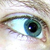 :iconnakedkitten: