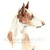 :iconnakedkittycreations: