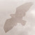 :iconnakhe: