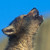 :iconnakurawolf: