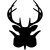 :iconnalliki: