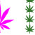 :iconnalp: