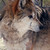 :iconnalrhin: