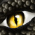 :iconnam-yamon: