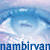 :iconnambirvan: