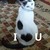 :iconnameforwhat: