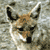 NamelessTraveler :iconnamelesstraveler: