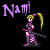 :iconnaminesolar: