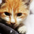 :iconnana-loves-tea: