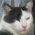 :iconnana19: