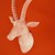 :iconnanarcissus: