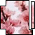 :iconnanbeinohana: