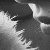 :iconnancy-c: