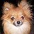 :iconNancy5908: