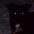 :iconnandescachan: