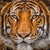 nandhinibundy :iconnandhinibundy:
