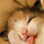 :iconnanming: