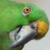 :iconnanshe: