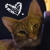 :iconnaox:
