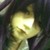 :iconnarcissen0ir: