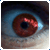 :iconnarcitel: