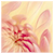 :iconnarcolepticpigeon: