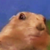 :iconnarhwales:
