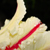 :iconnarinevya: