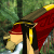 :iconnarmer95: