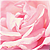 :iconnarodenia:
