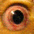 :iconnartu: