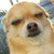 :iconnarusasucute: