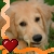 :iconnarutorox123: