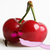 :iconnarwhalrus: