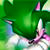 :iconnarwhalskickass: