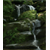 :iconnas-jee: