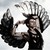 :iconnash-sandstorm: